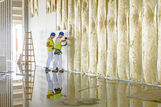 Best Residential Insulation in Port Huron, MI